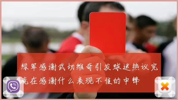 绿军感谢武切维奇引发球迷热议究竟在感谢什么表现不佳的中锋